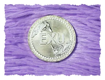 2011 Coin